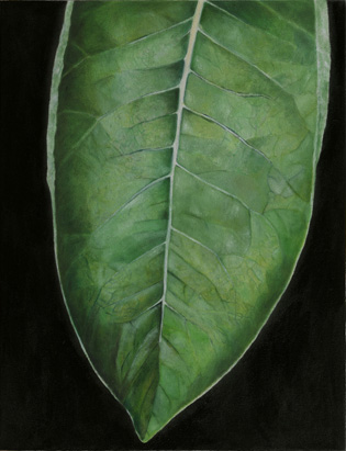 leaf 1 by patrice moor